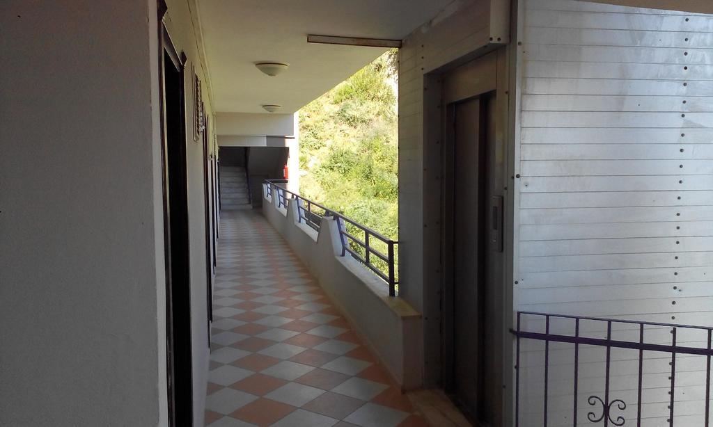 Mor Kusadası
